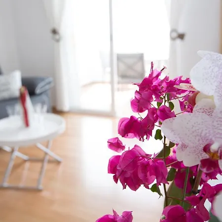 Casa Sophia Apartment